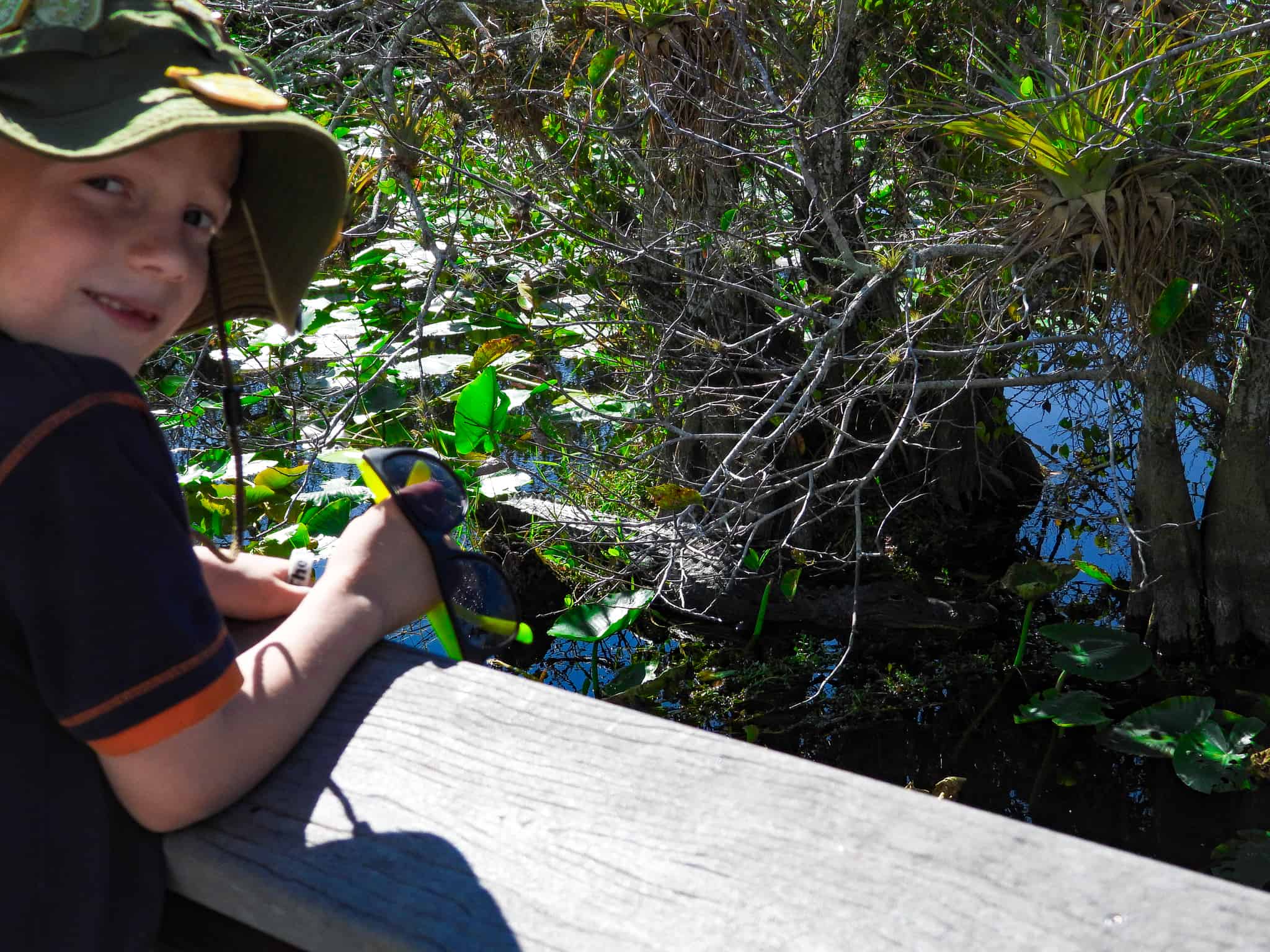 How to Enjoy Everglades National Park with Your Kids